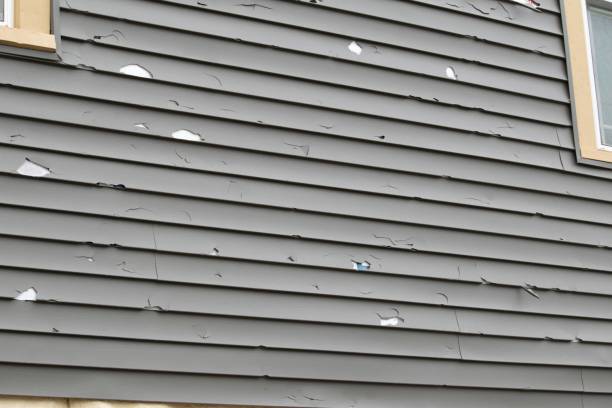 Best Wood Siding Installation  in Chickasha, OK